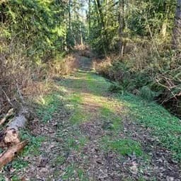 Property photo for 190 Xx Se 66th Street, Issaquah photo 11