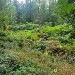Property photo for 190 Xx Se 66th Street, Issaquah photo 19