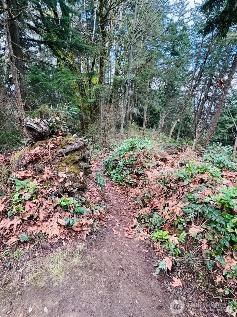 Property photo for 190 Xx Se 66th Street, Issaquah photo 32