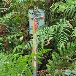 Property photo for 190 Xx Se 66th Street, Issaquah photo 17