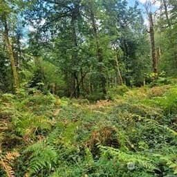 Property photo for 190 Xx Se 66th Street, Issaquah photo 28