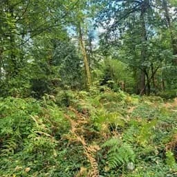 Property photo for 190 Xx Se 66th Street, Issaquah photo 27