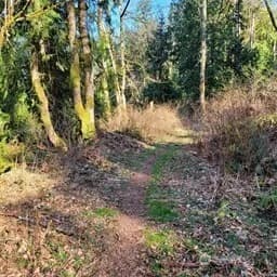 Property photo for 190 Xx Se 66th Street, Issaquah photo 12