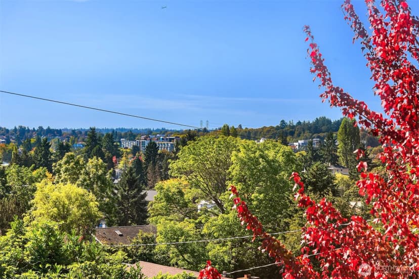 Property photo for 4830 S Morgan Street #b, Seattle photo 34