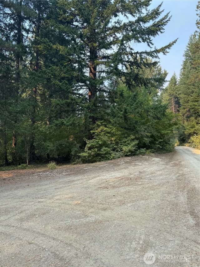 Property photo for 0 Little Chumstick Creek Rd, Leavenworth photo 3