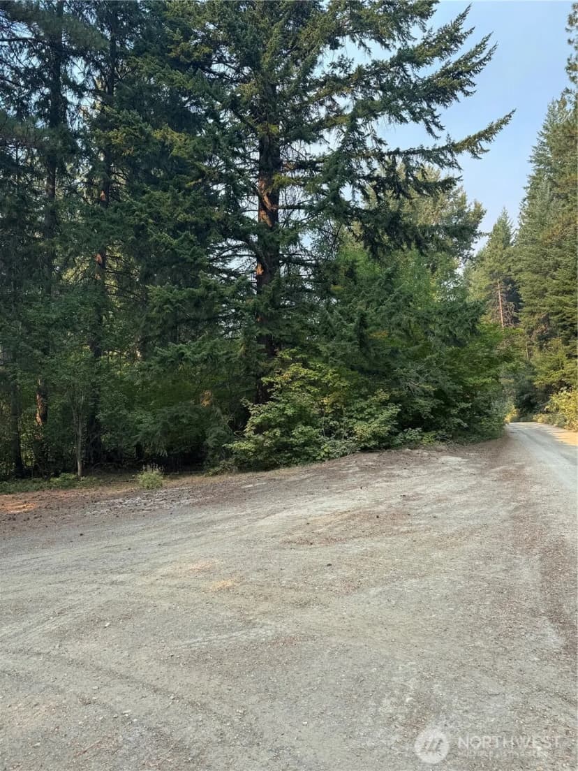 Property photo for 0 Little Chumstick Creek Rd, Leavenworth photo 3