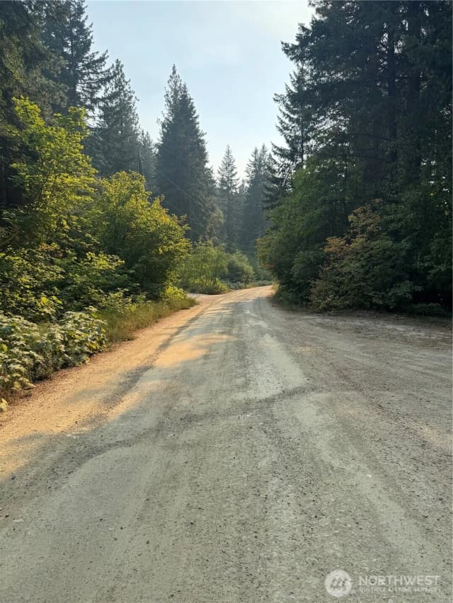 Property photo for 0 Little Chumstick Creek Rd, Leavenworth photo 4