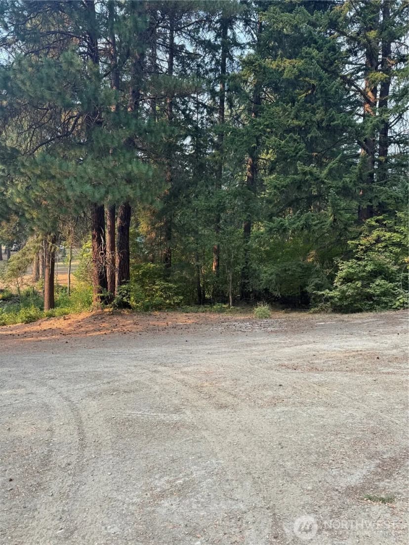 Property photo for 0 Little Chumstick Creek Rd, Leavenworth photo 6