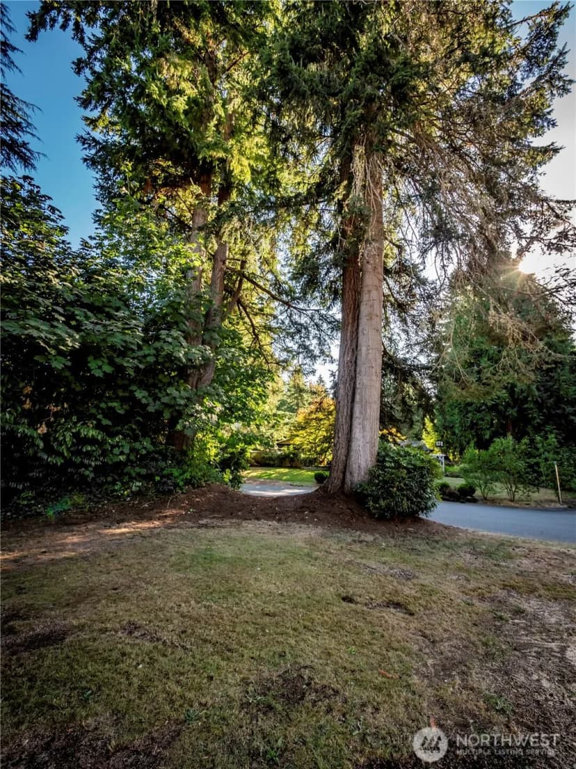 Property photo for 5102 Donnelly Drive Se, Olympia photo 25