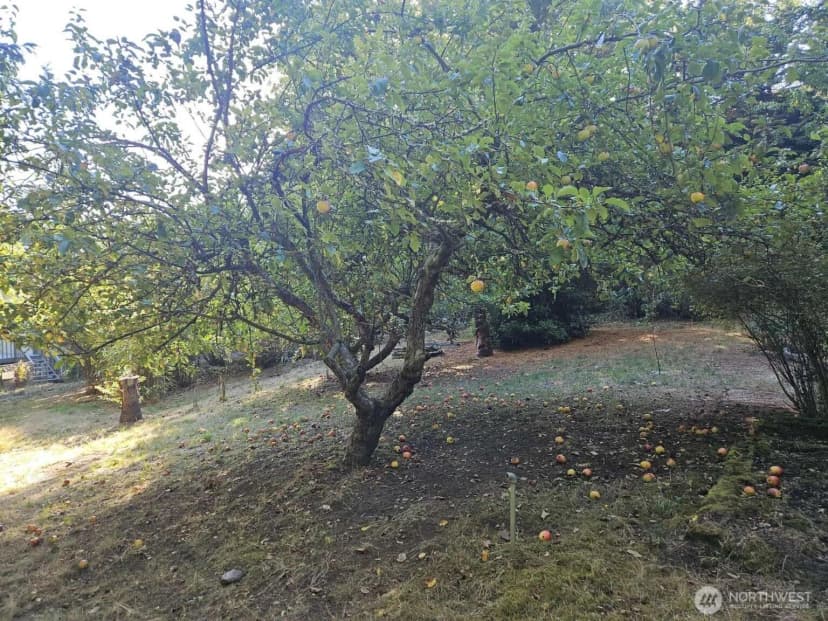 Property photo for 3728 W Arsenal Way, Bremerton photo 25