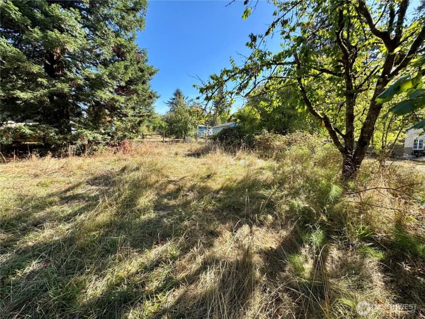 Property photo for 1817 E Terrace Way, Kelso photo 6