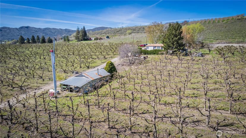 Property photo for 1096 Highway 7, Tonasket photo 39
