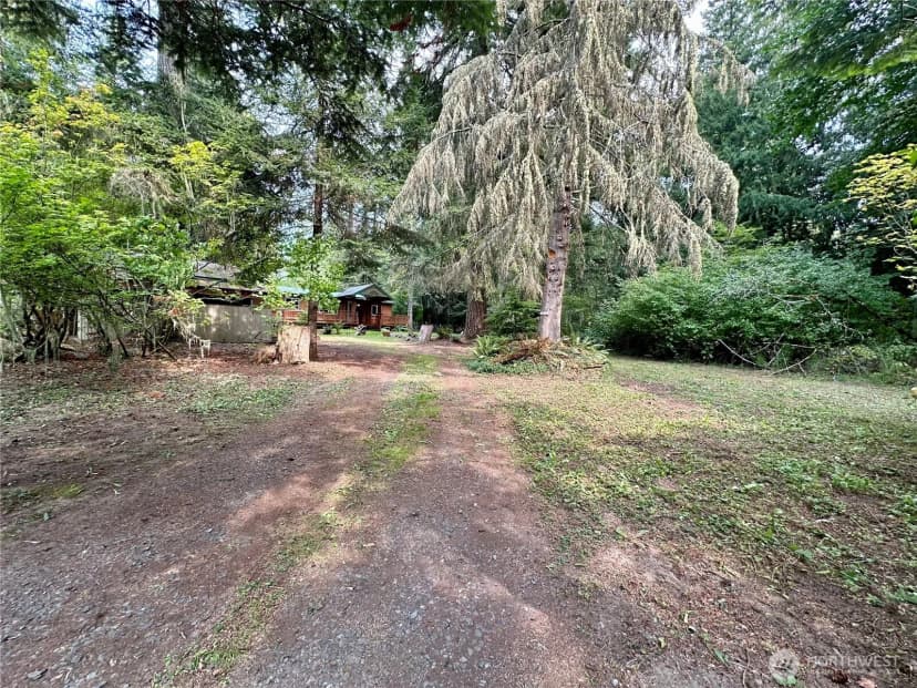 Property photo for 55509 310th Avenue Court E, Ashford photo 32