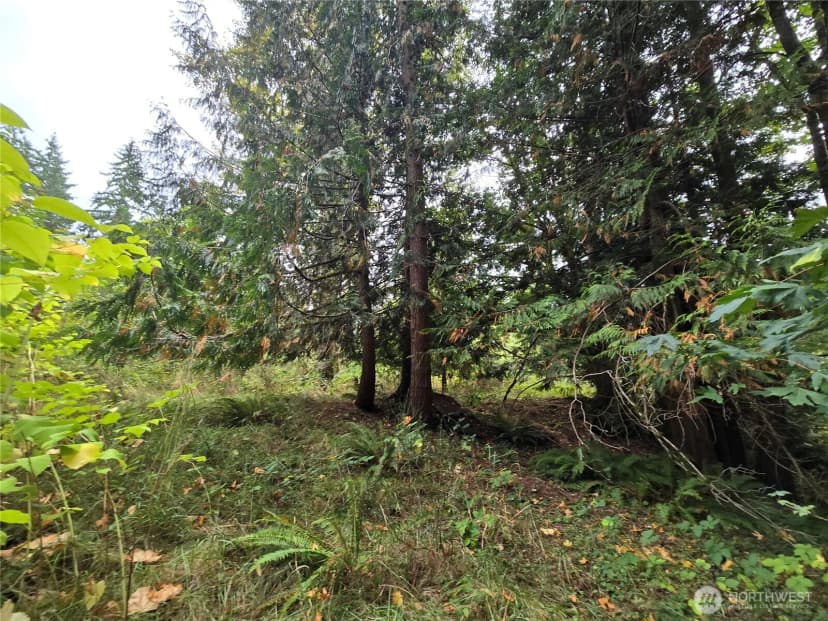 Property photo for 12628 208th Place Ne, Woodinville photo 21