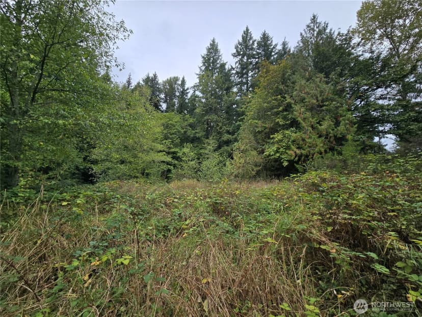 Property photo for 12628 208th Place Ne, Woodinville photo 10