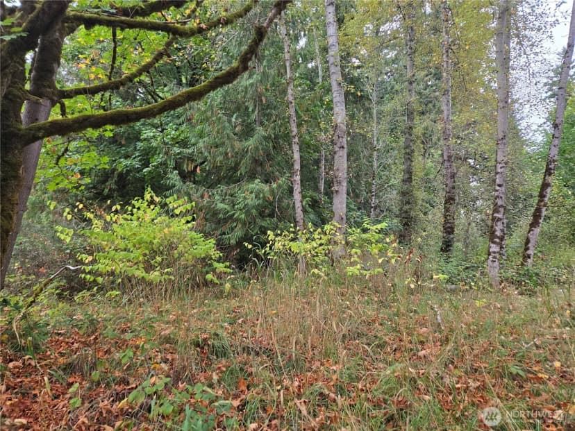 Property photo for 12628 208th Place Ne, Woodinville photo 13