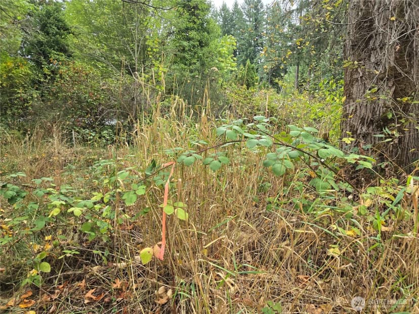 Property photo for 12628 208th Place Ne, Woodinville photo 31