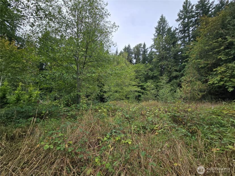 Property photo for 12628 208th Place Ne, Woodinville photo 9