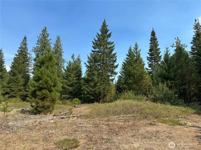 Property photo for 2 Cedar Monument Road, Goldendale photo 3