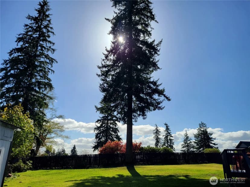 Property photo for 436 Highland Drive, Montesano photo 29