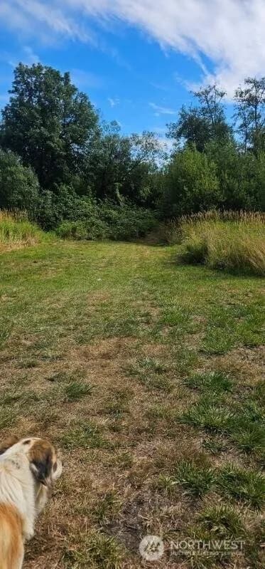 Property photo for 2094 Rice Road, Chehalis photo 27