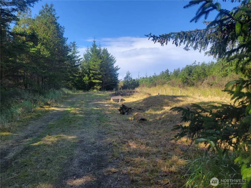 Property photo for 0 35th & J Lane, Ilwaco photo 11