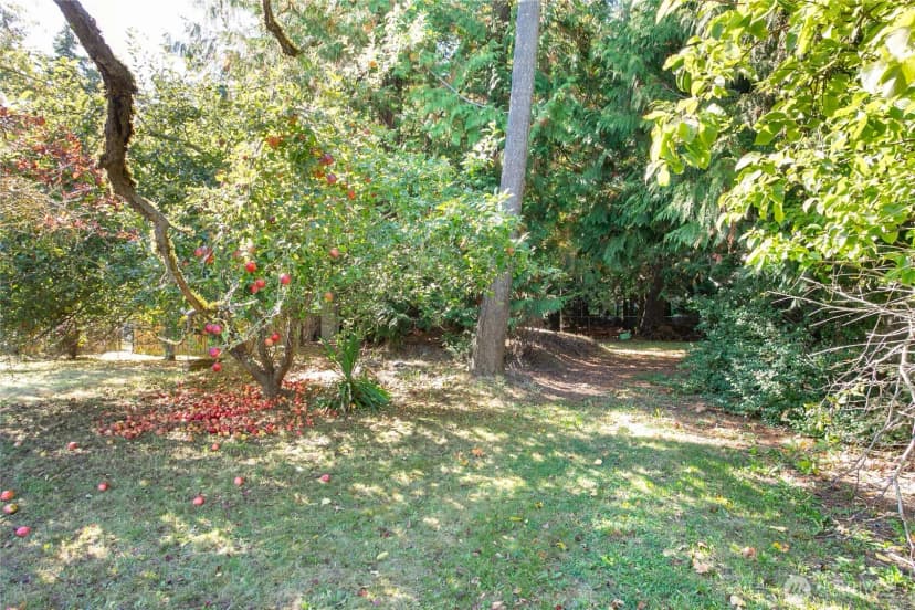 Property photo for 3319 Hollywood Avenue, Bellingham photo 36
