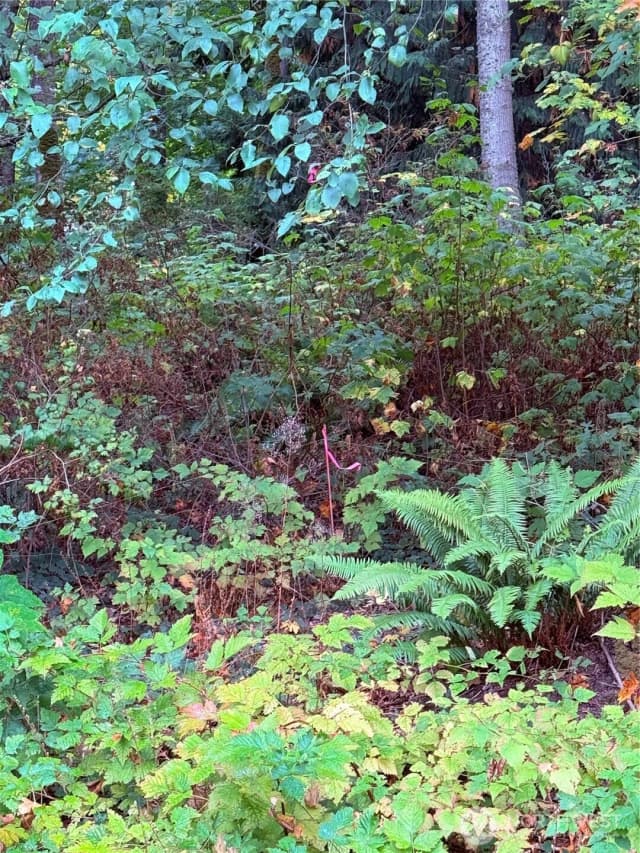 Property photo for 106 A Port Susan Drive, Hat Island photo 5