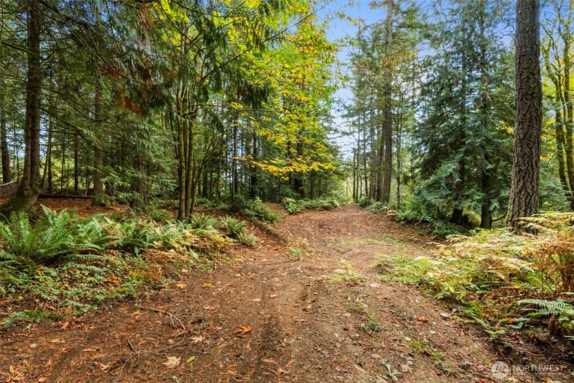 Property photo for 7698 Westerly Lane Ne, Bainbridge Island photo 19