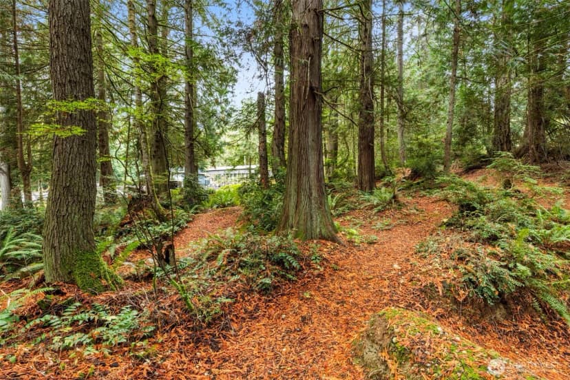 Property photo for 7698 Westerly Lane Ne, Bainbridge Island photo 21