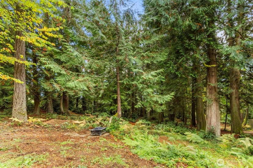 Property photo for 7698 Westerly Lane Ne, Bainbridge Island photo 17