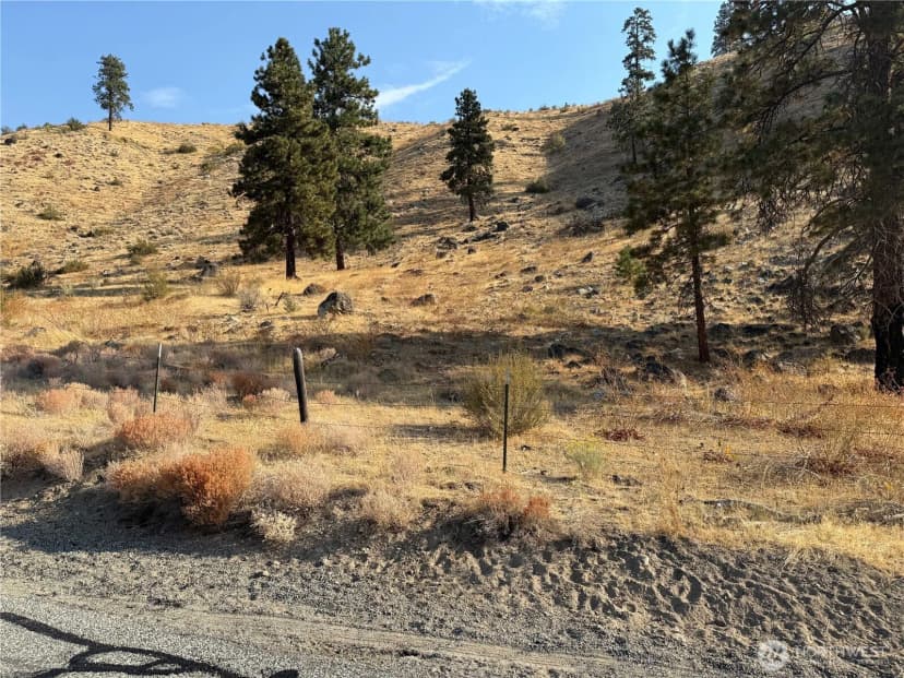 Property photo for 2200 Antoine Creek Road, Chelan photo 15