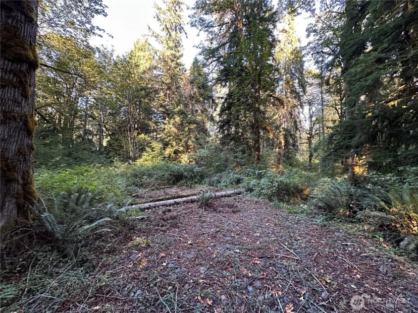 Property photo for 358 Xx Ne Moss Lake Road, Carnation photo 12