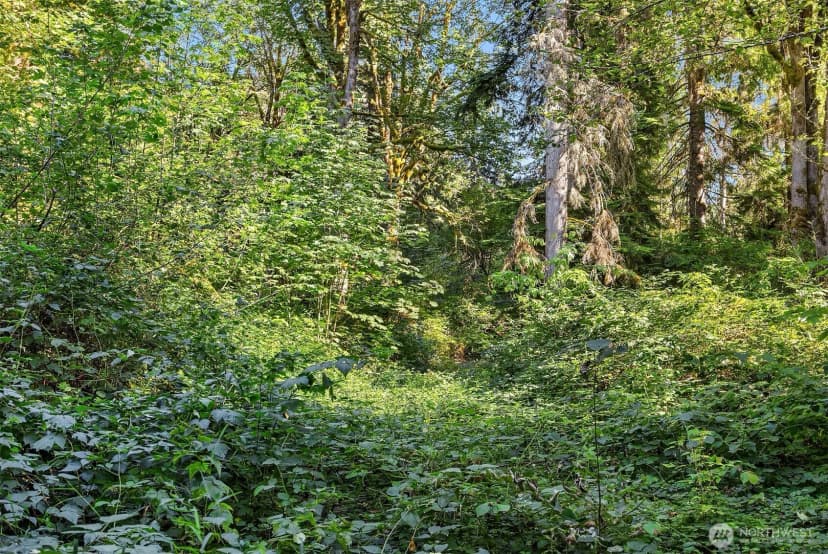 Property photo for 358 Xx Ne Moss Lake Road, Carnation photo 10