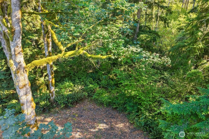 Property photo for 358 Xx Ne Moss Lake Road, Carnation photo 9