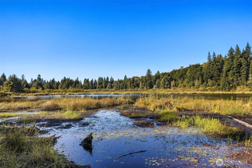 Property photo for 358 Xx Ne Moss Lake Road, Carnation photo 25
