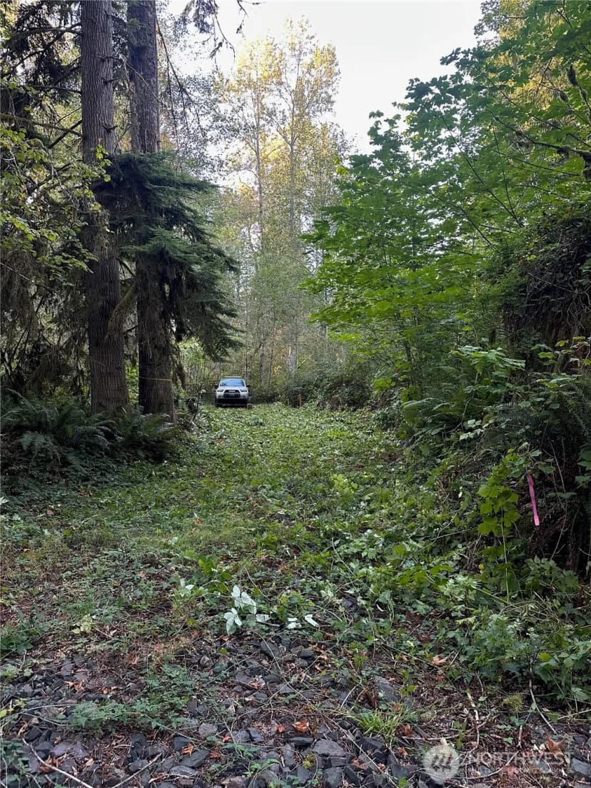 Property photo for 358 Xx Ne Moss Lake Road, Carnation photo 11