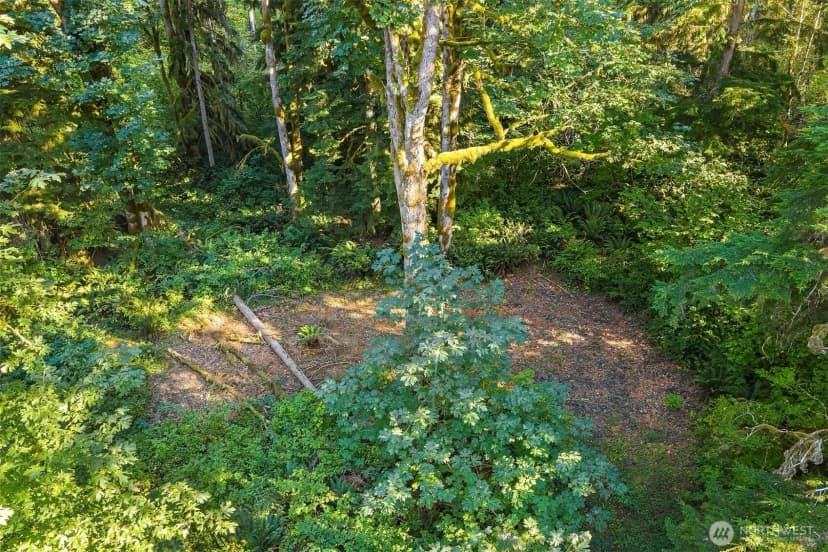 Property photo for 358 Xx Ne Moss Lake Road, Carnation photo 8