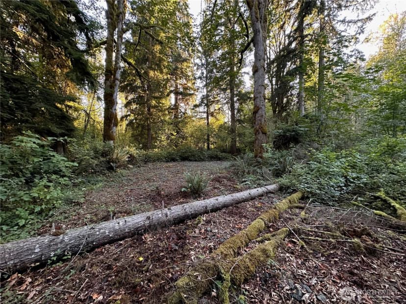 Property photo for 358 Xx Ne Moss Lake Road, Carnation photo 13