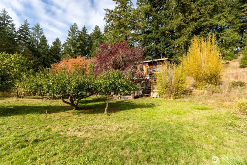Property photo for 230 Middle Fork Road, Friday Harbor photo 3