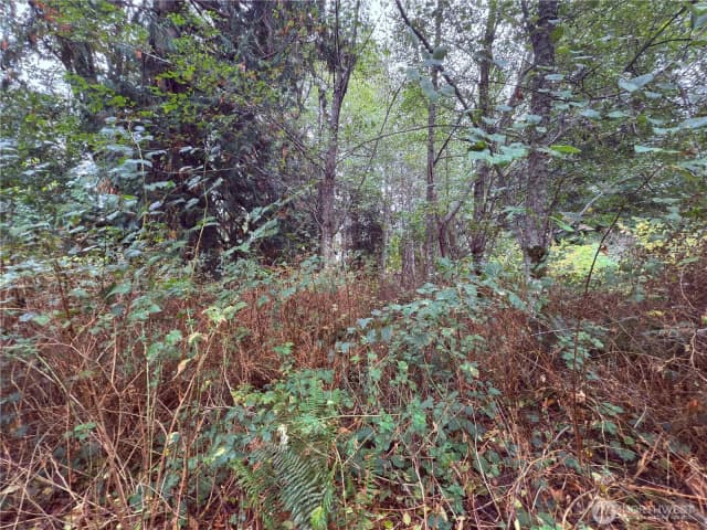 Property photo for 18 M Olympic Drive, Hat Island photo 3
