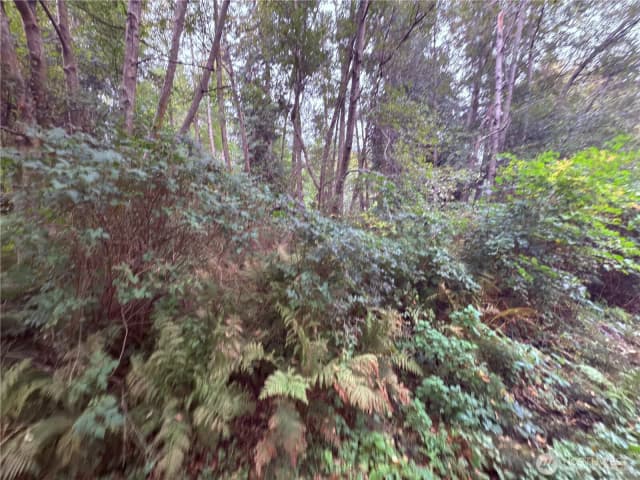 Property photo for 32 E Port Gardner Drive, Hat Island photo 4