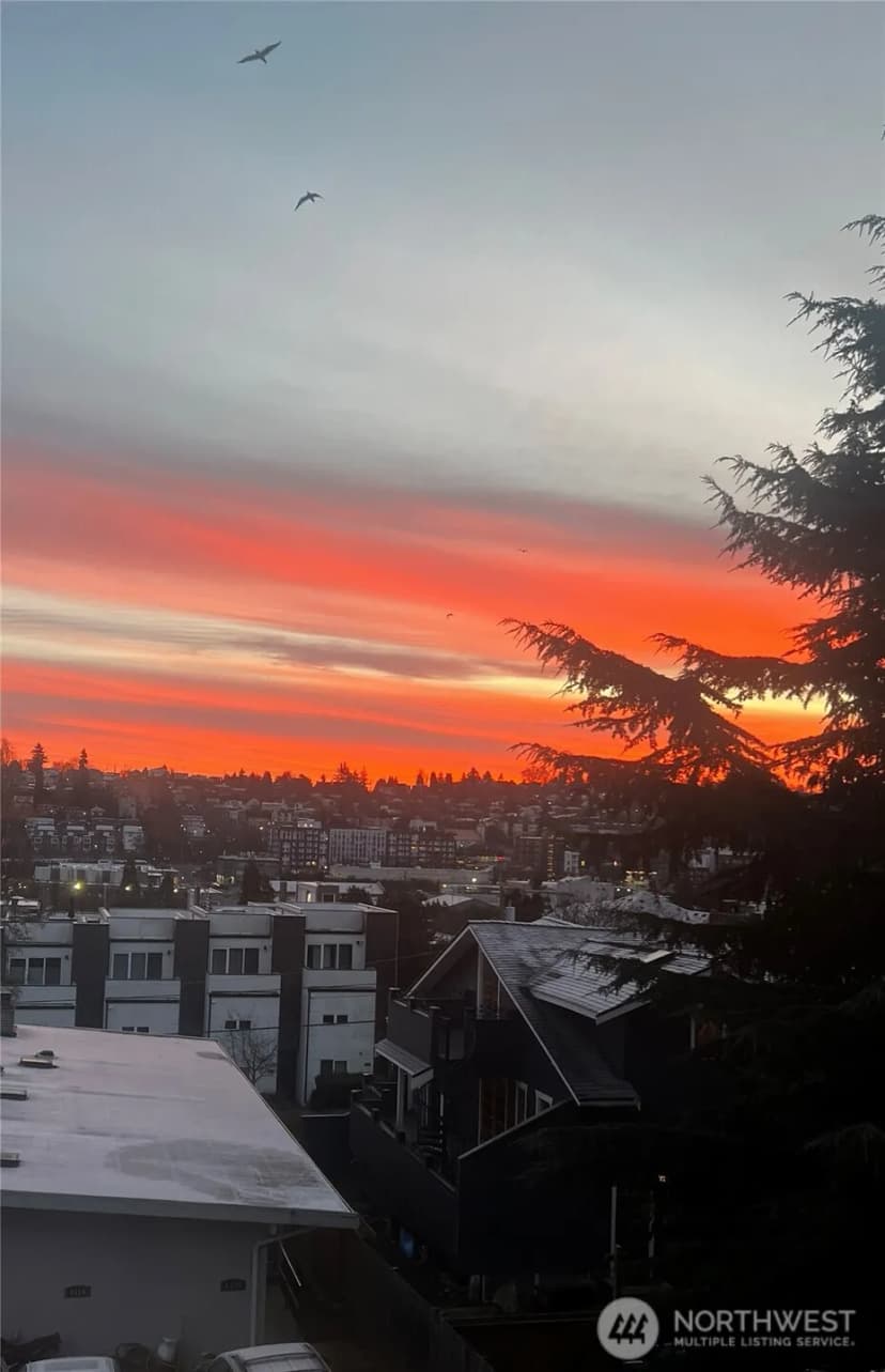 Property photo for 3418 A 23rd Avenue W, Seattle photo 36