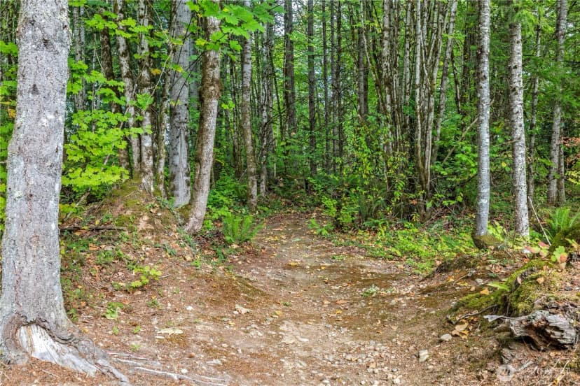 Property photo for 30922 222nd Way Se, Black Diamond photo 32