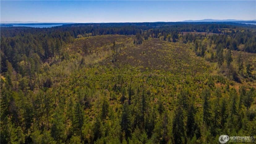 Property photo for 0 X 154th Avenue Nw, Gig Harbor photo 7