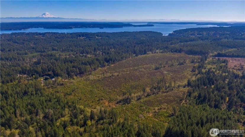 Property photo for 0 X 154th Avenue Nw, Gig Harbor photo 14