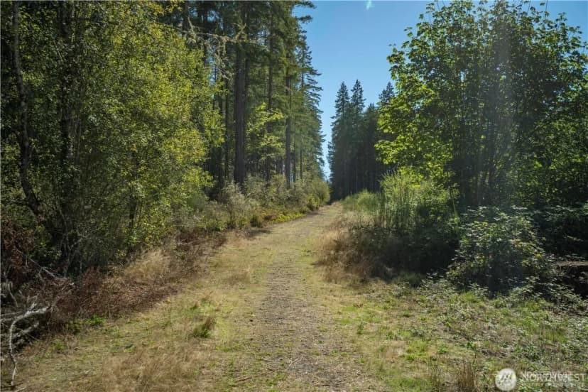 Property photo for 0 X 154th Avenue Nw, Gig Harbor photo 4