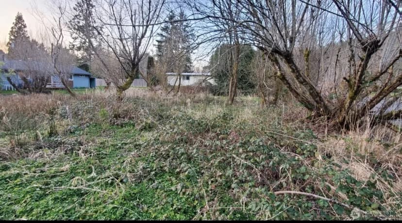Property photo for 11 Xx 6th Avenue Se, Issaquah photo 8