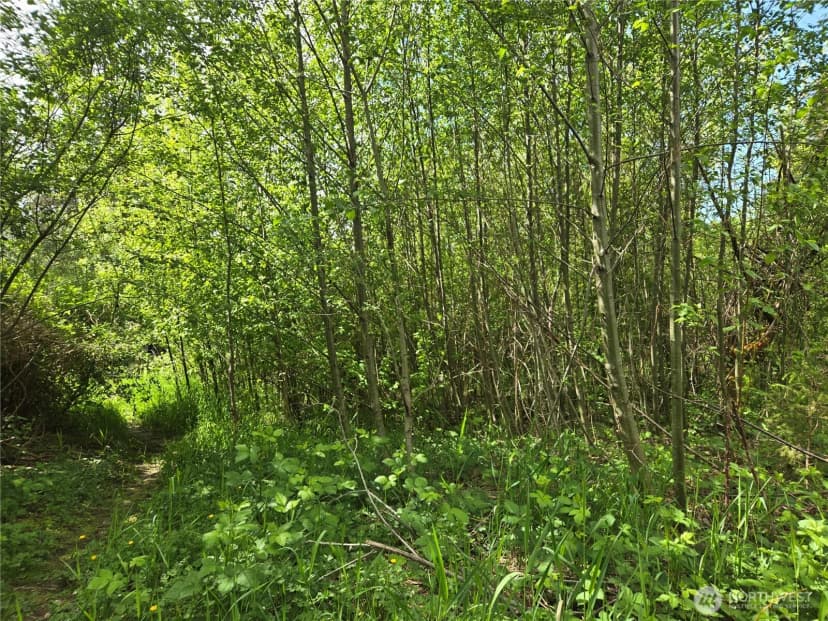 Property photo for 11 Xx 6th Avenue Se, Issaquah photo 22