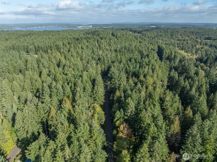 Property photo for 10602 Vantage Drive, Anderson Island photo 8